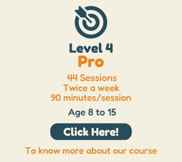 Level 4 Pro